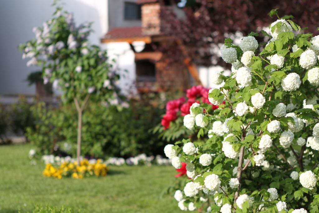 Casa Jasmine Hotell Braşov Exteriör bild
